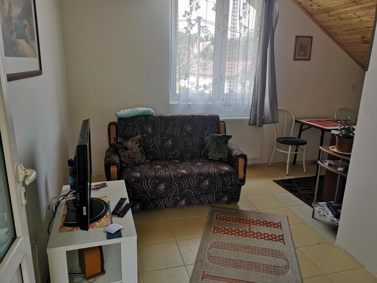 Apartmani Zubor Banja Koviljaca Exterior photo